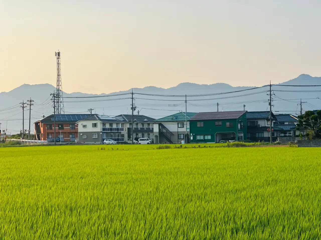 2025年海南企业移动应用开发趋势与小程序技术演进分析